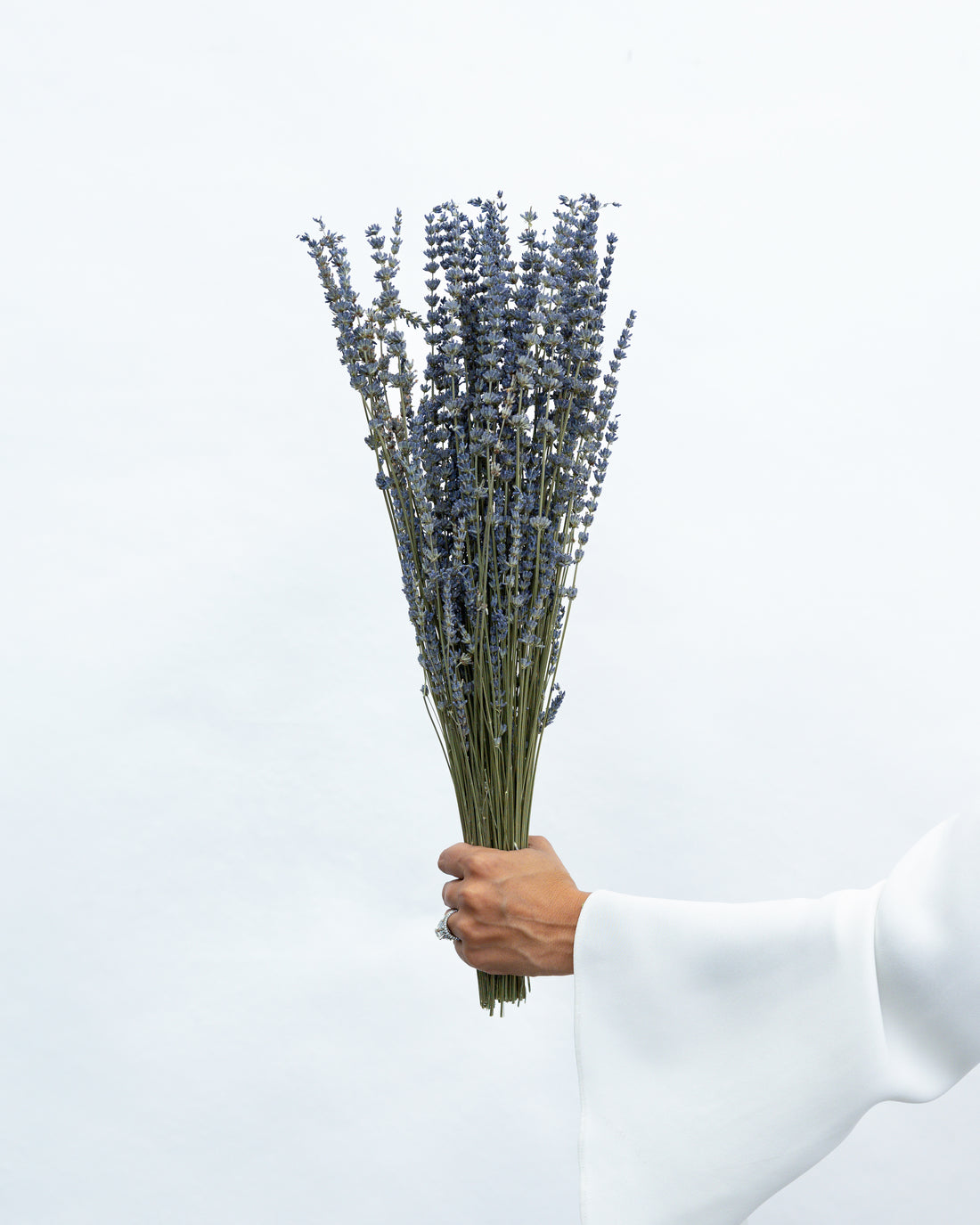 DRIED LAVENDER