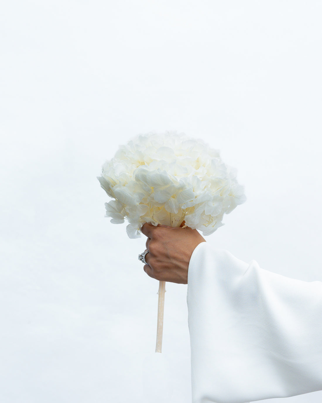 PRESERVED HYDRANGEA STEM I WHITE I LARGE-LEAF