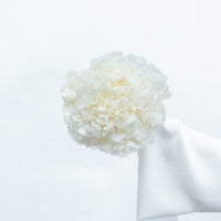 PRESERVED HYDRANGEA STEM I WHITE I LARGE-LEAF