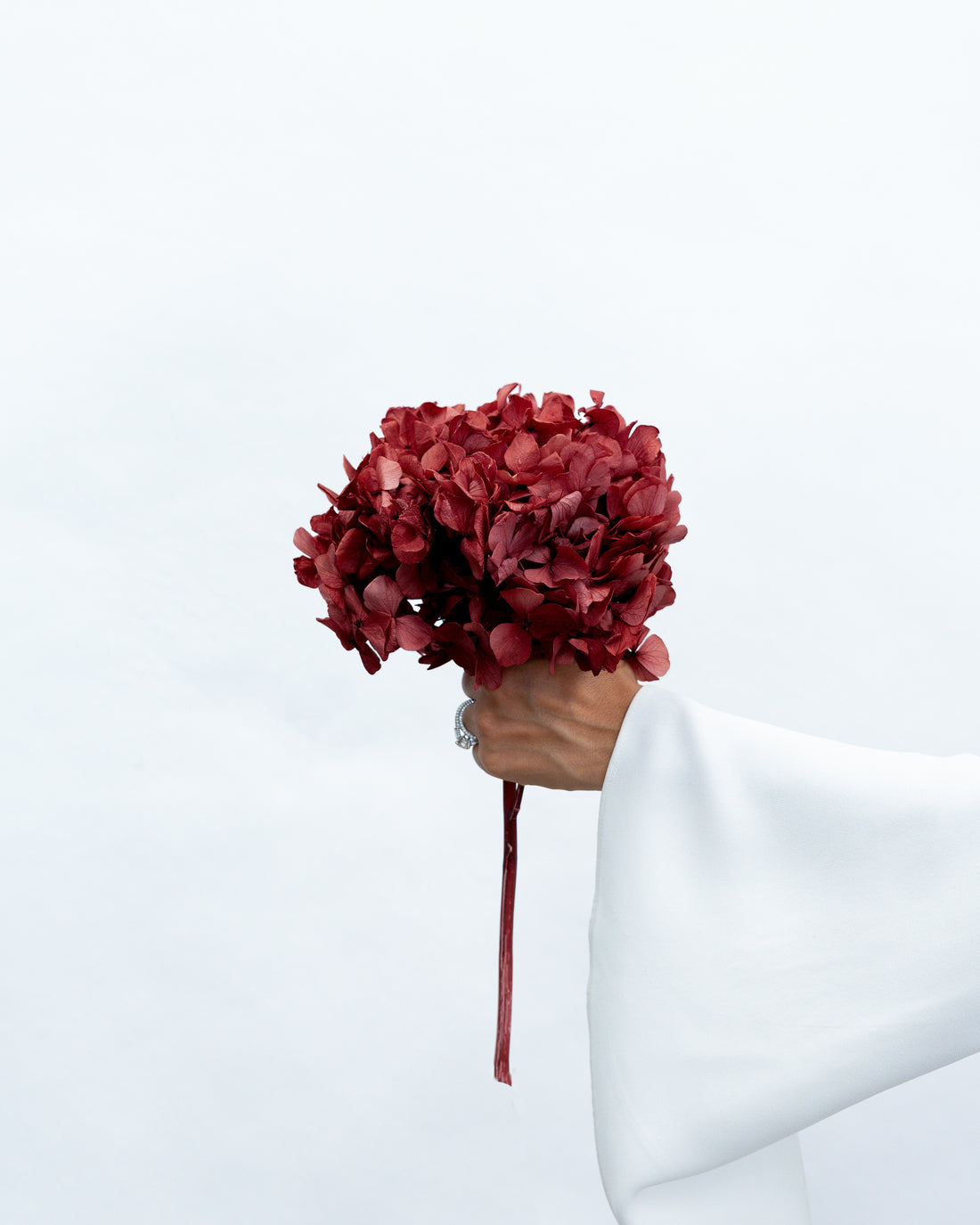 PRESERVED HYDRANGEA STEM I WINE RED I LARGE-LEAF