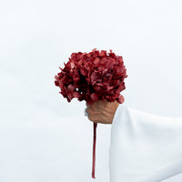PRESERVED HYDRANGEA STEM I WINE RED I LARGE-LEAF