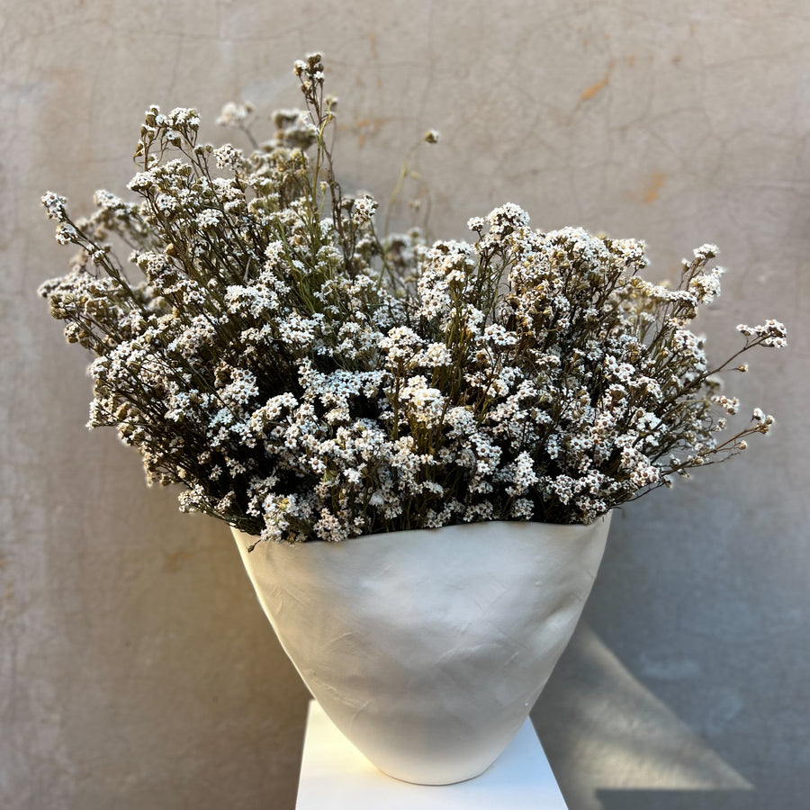 DRIED MOUNTAIN DAISIES ARRANGEMENT IN ROSITA BOWL