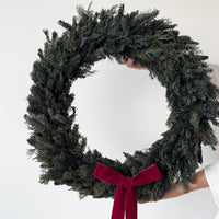 PRESERVED PINE CHRISTMAS WREATH with RED WINE BOW