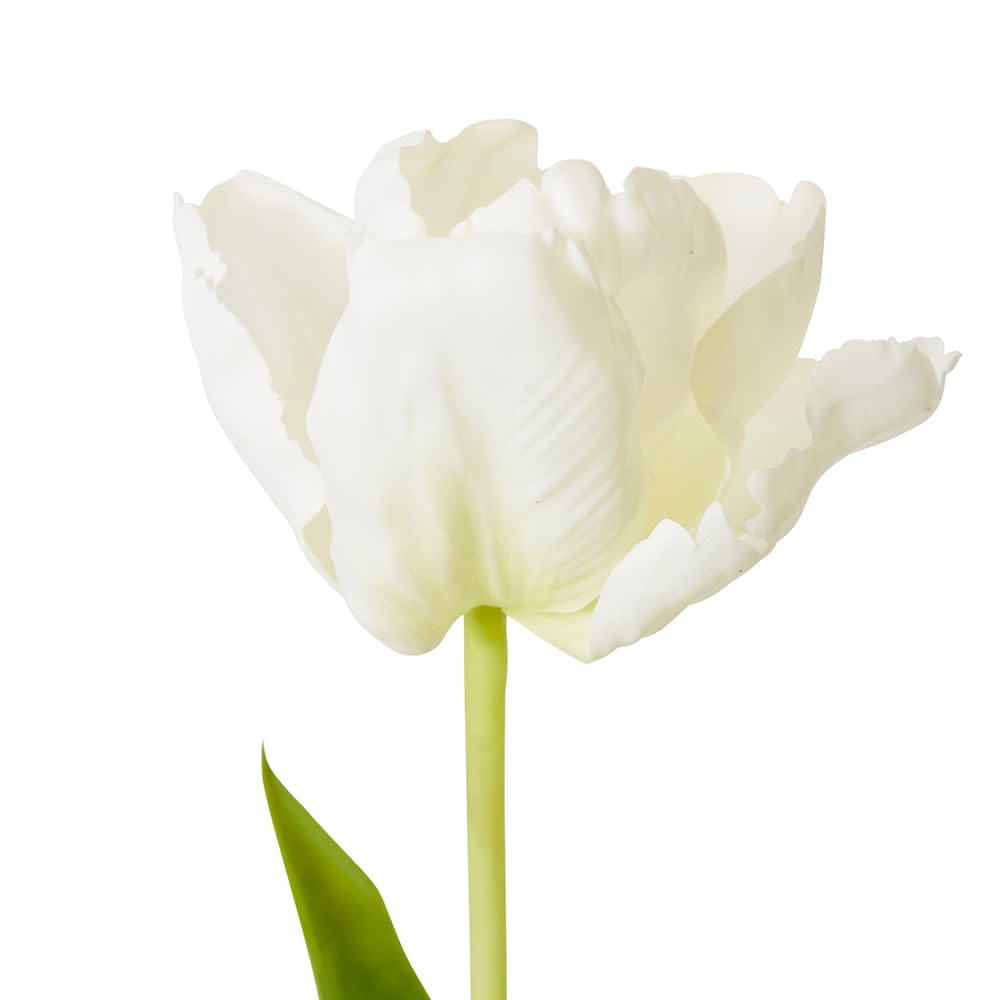 Faux artist tulip stem white, detail