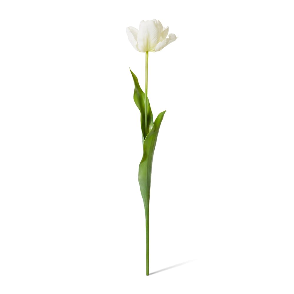 Faux artist tulip stem in white by The Palmier