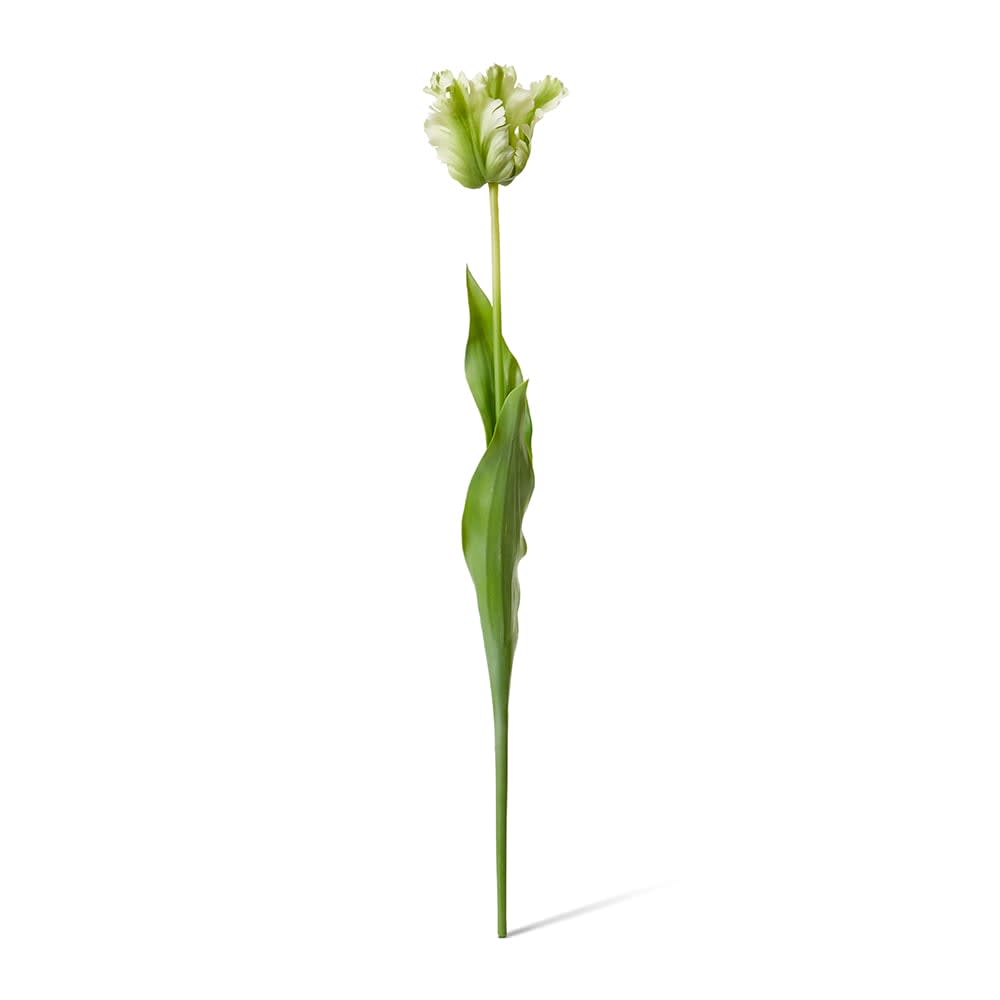 Faux parrot tulip stem in green by The Palmier