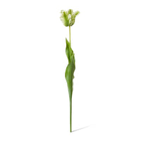 Faux parrot tulip stem in green by The Palmier