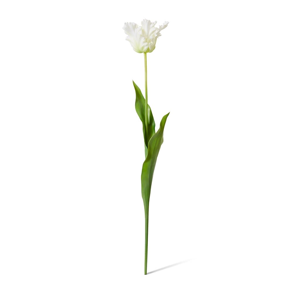 Faux parrot tulip stem in white by The Palmier
