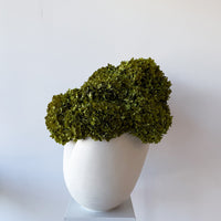 CALLA PRESERVED HYDRANGEAS EN MASSE IN MORPH BOWL IVORY