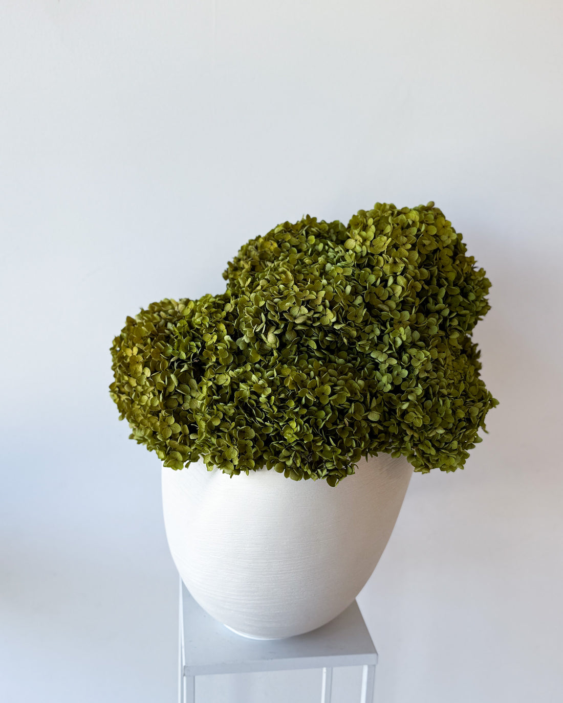 CALLA PRESERVED HYDRANGEAS EN MASSE IN MORPH BOWL IVORY