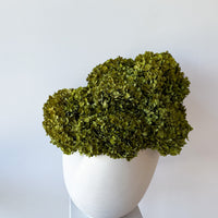 CALLA PRESERVED HYDRANGEAS EN MASSE IN MORPH BOWL IVORY