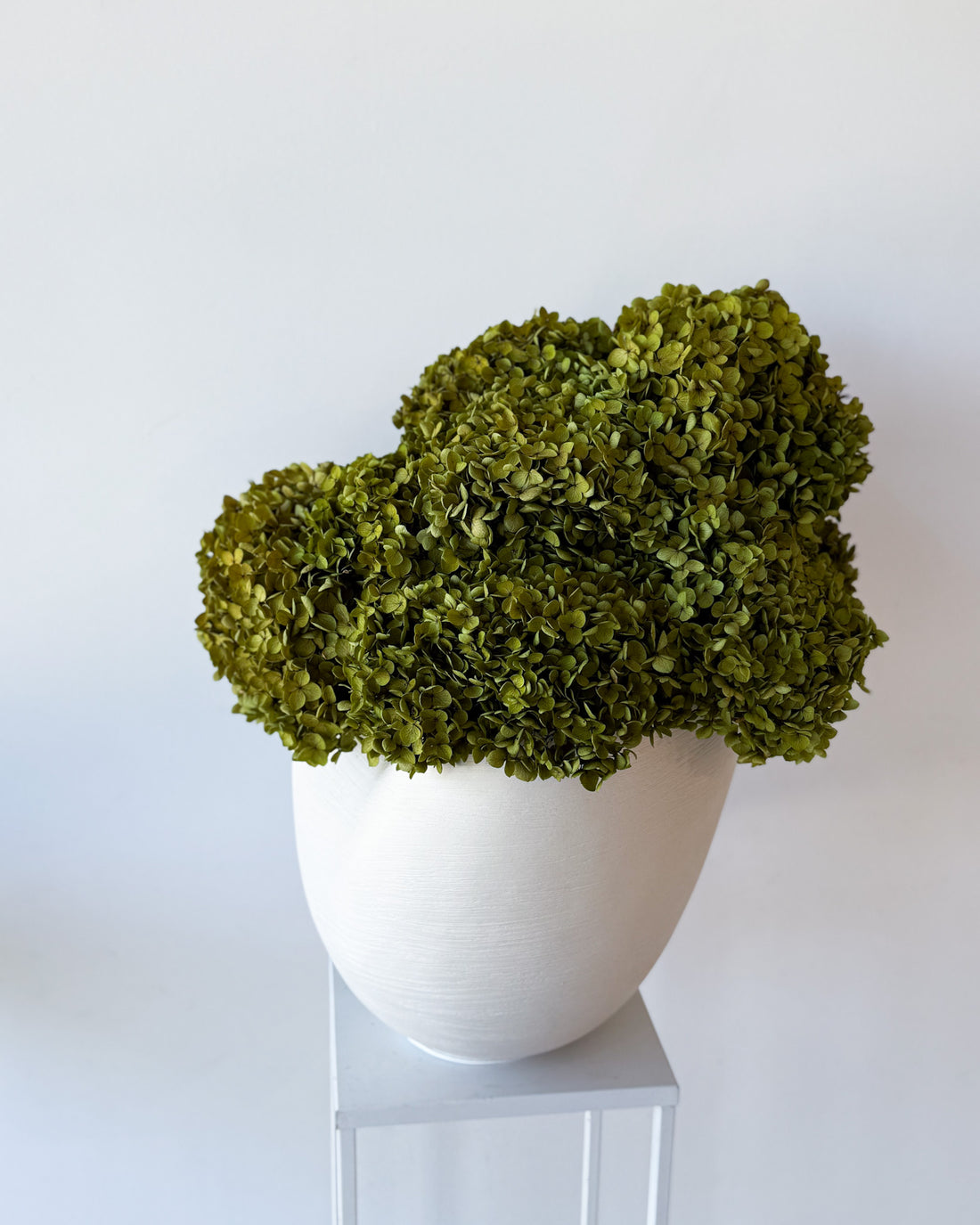 CALLA PRESERVED HYDRANGEAS EN MASSE IN MORPH BOWL IVORY