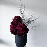 NATALIA | BURGUNDY HYDRANGEA AND COROKIA IN MORPH VASE EBONY