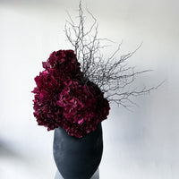 NATALIA | BURGUNDY HYDRANGEA AND COROKIA IN MORPH VASE EBONY