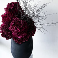 NATALIA | BURGUNDY HYDRANGEA AND COROKIA IN MORPH VASE EBONY