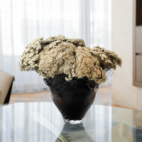MARIA pale golden preserved morrison en masse in black Lashay vessel by The Palmier, on a dining table