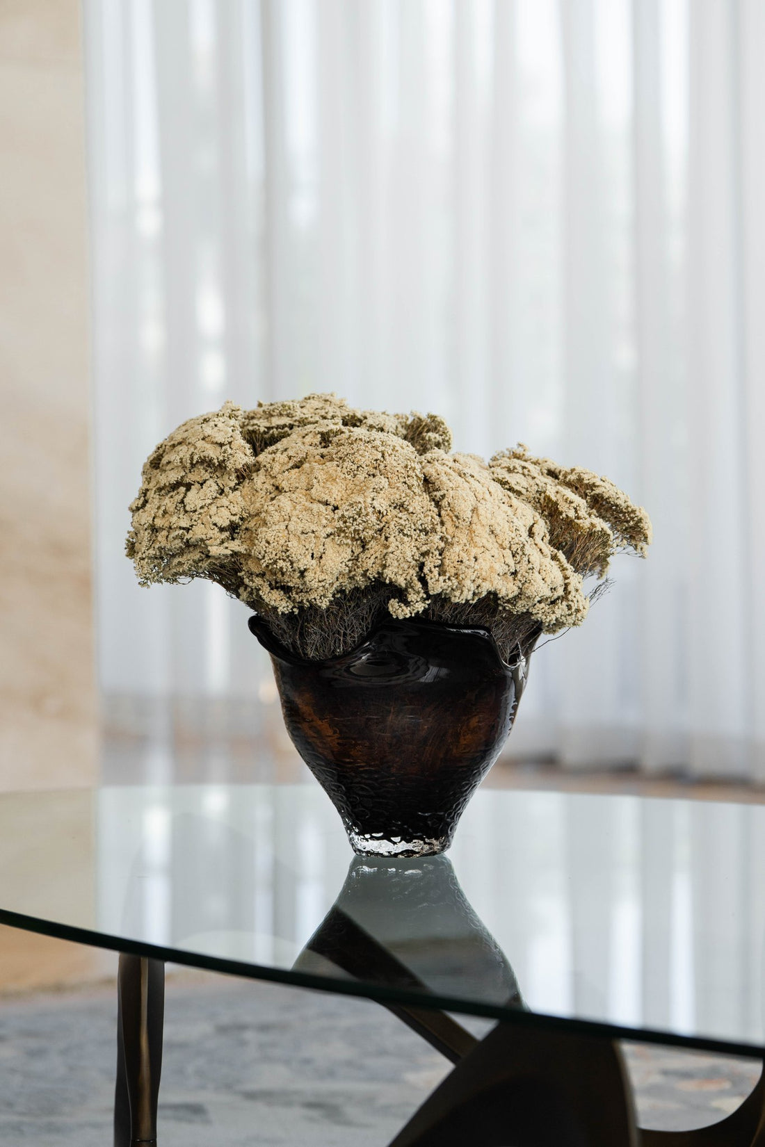 MARIA preserved morrison en masse in black Lashay vessel, close view