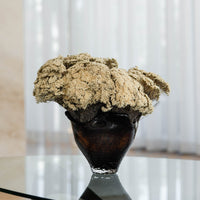MARIA preserved morrison en masse in black Lashay vessel, close view