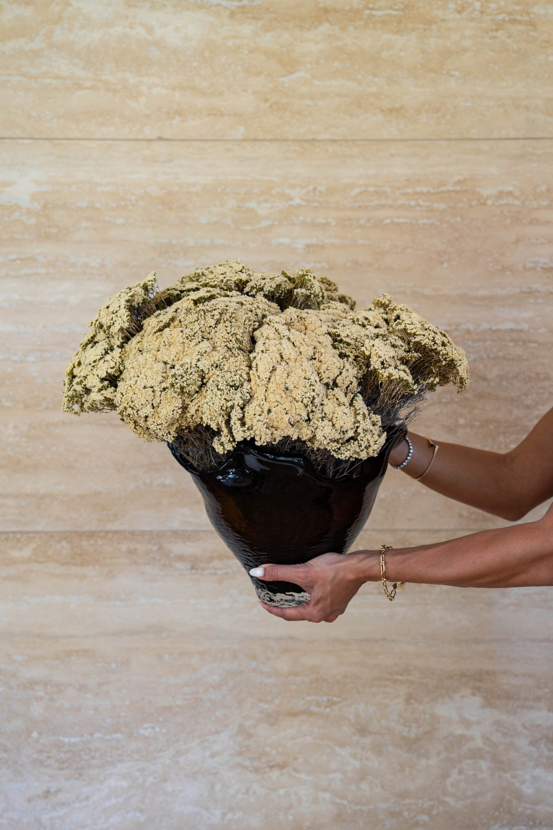 MARIA preserved morrison in black Lashay vessel, held to show scale