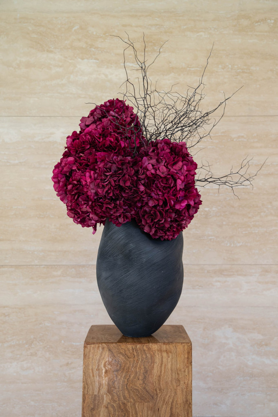 NATALIA burgundy preserved hydrangea and corokia in Morph vase ebony by The Palmier, on a timber plinth