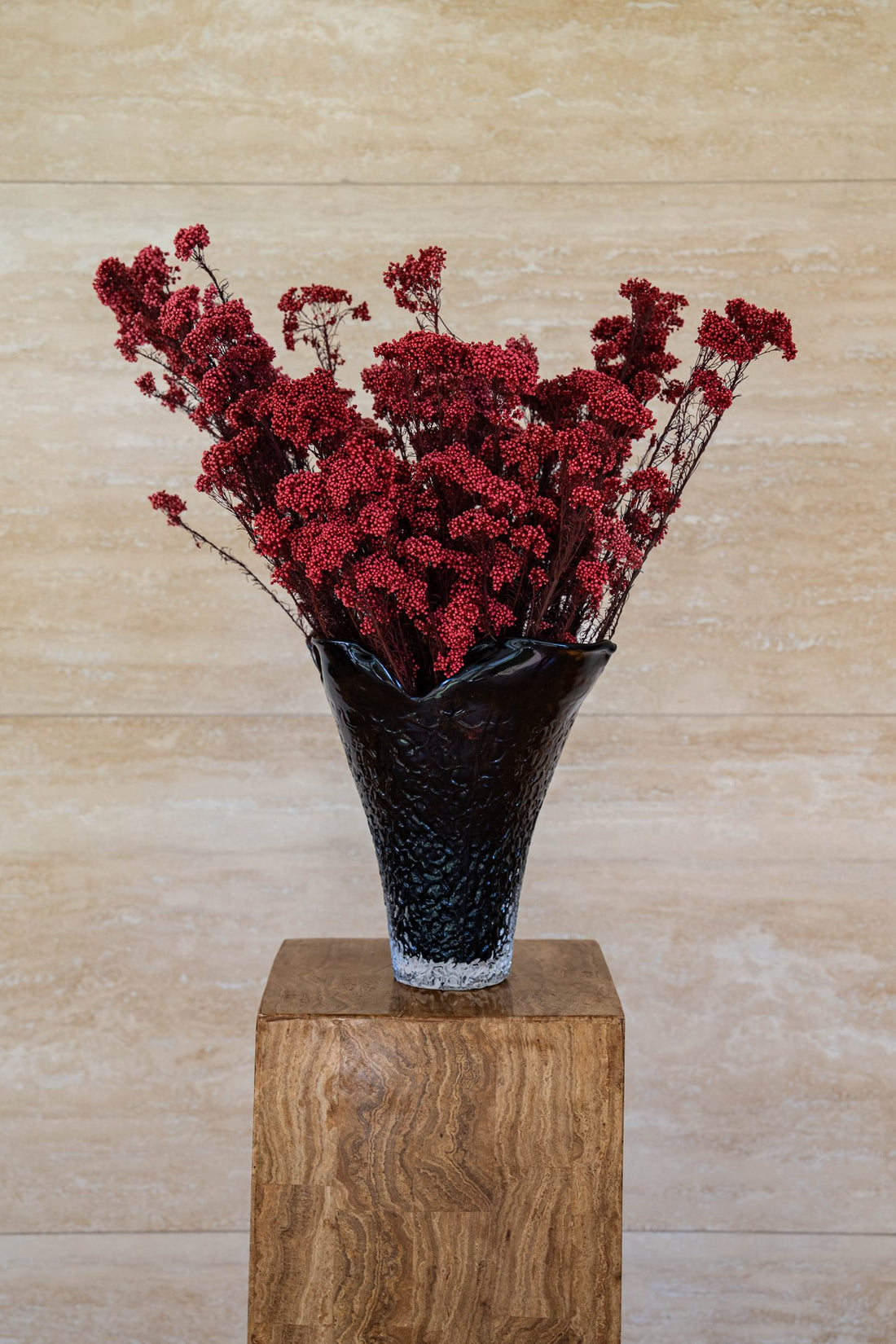 RUBY deep red preserved rice flower in Lashay tall vessel amber on a timber plinth