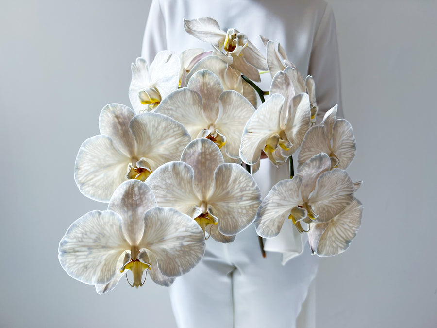 - ORCHID LOVE - beige