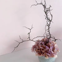 - ULTRA MINI -  everlasting dried arrangement in vase