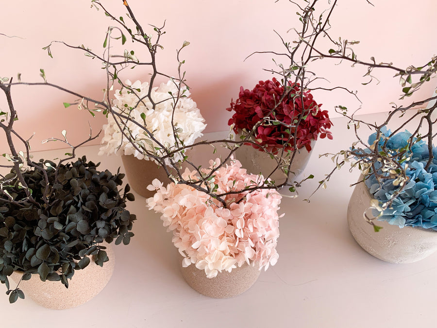 - ULTRA MINI -  everlasting dried arrangement in vase